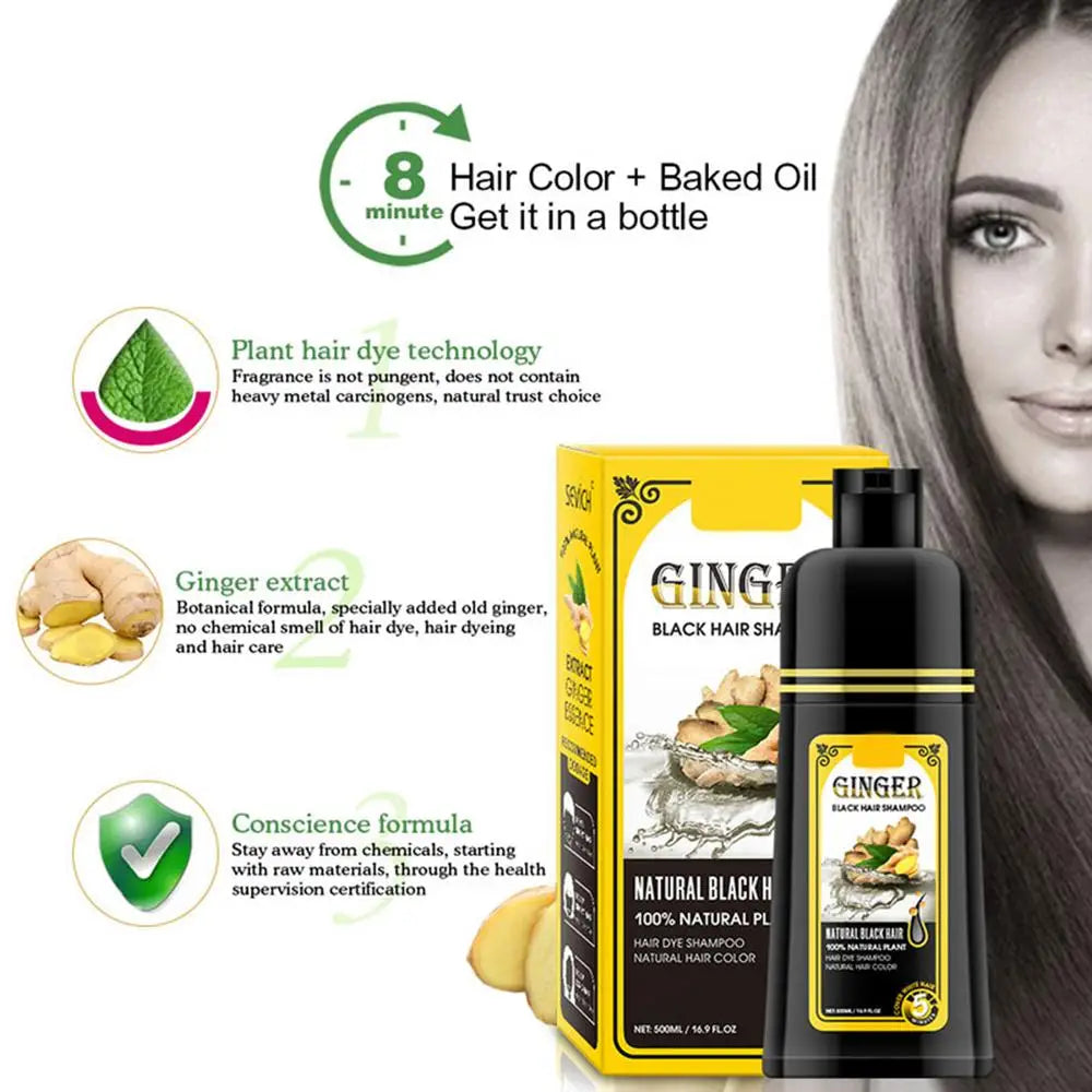 500ml Herbal Hair Dye Black Hair Shampoo Black Hair Color Shampoo Black Hair Dye Covering White Hair Shampoo ginger Shampoo