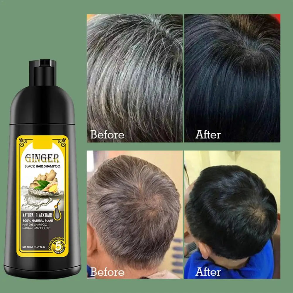 500ml Herbal Hair Dye Black Hair Shampoo Black Hair Color Shampoo Black Hair Dye Covering White Hair Shampoo ginger Shampoo